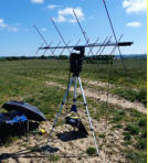 Første prøve i feldten